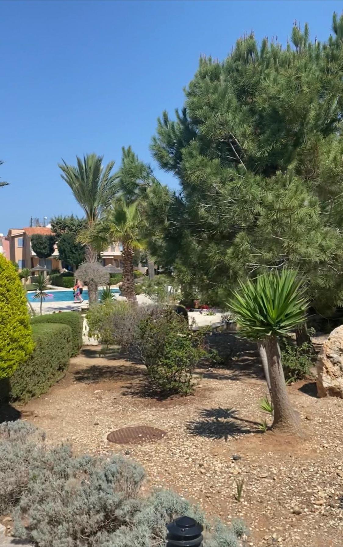 Newly Renovated- Regina Gardens 1, Venus Beach 500 M, Sea&Sunsets View, License Ooo7141 Paphos Exterior photo