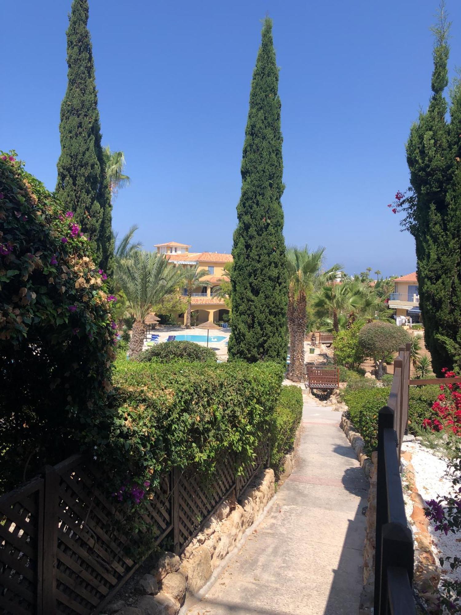 Newly Renovated- Regina Gardens 1, Venus Beach 500 M, Sea&Sunsets View, License Ooo7141 Paphos Exterior photo